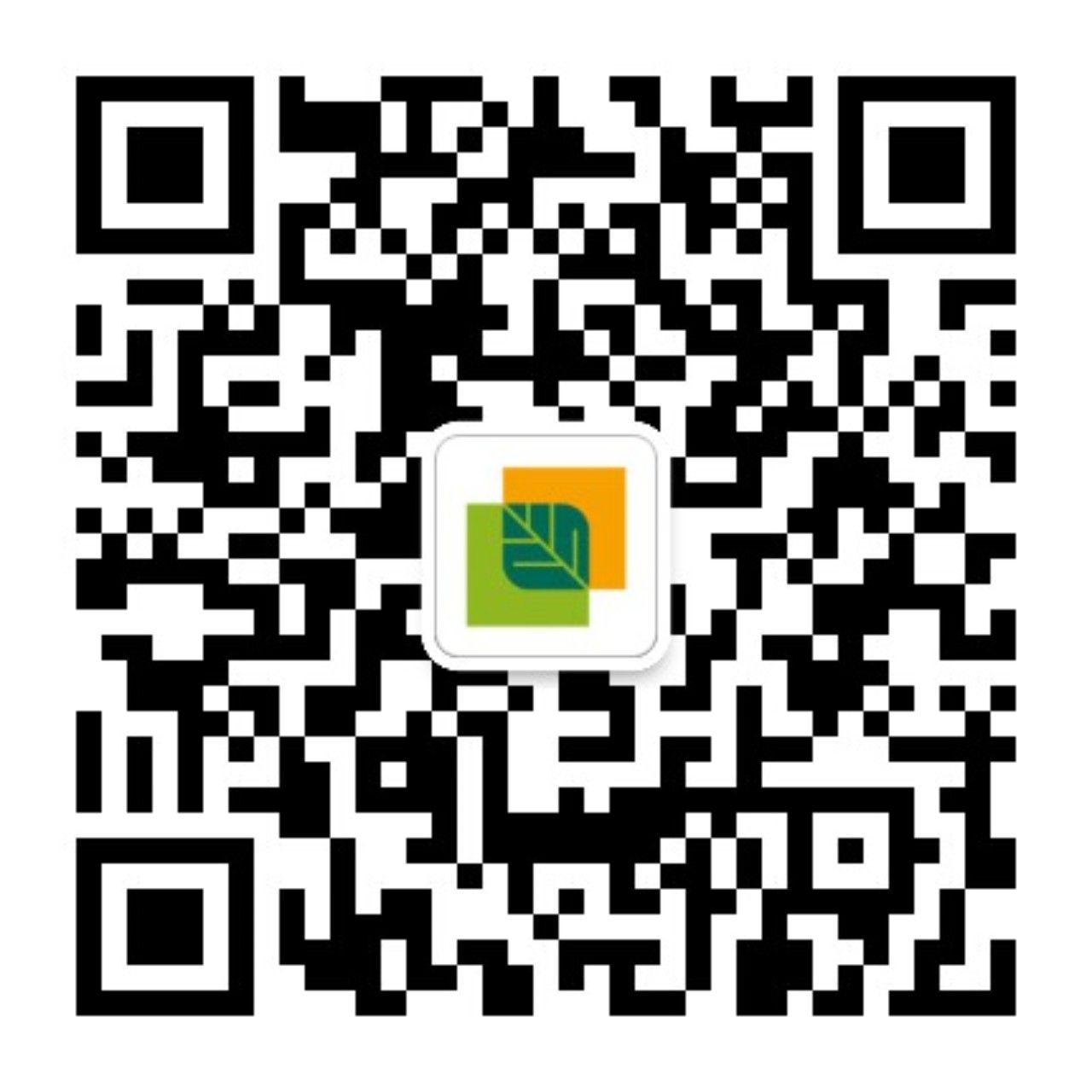 1559640292691176.jpg